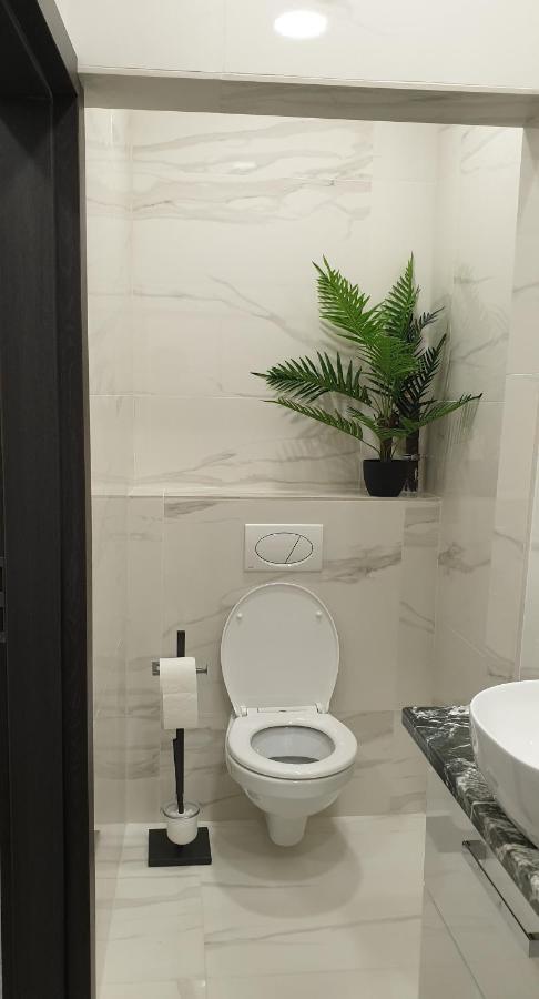 شقة Belvarosi Apartman 2 ميسكولك المظهر الخارجي الصورة